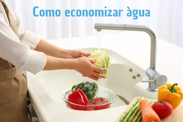 Como economizar água